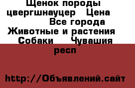 Щенок породы  цвергшнауцер › Цена ­ 30 000 - Все города Животные и растения » Собаки   . Чувашия респ.